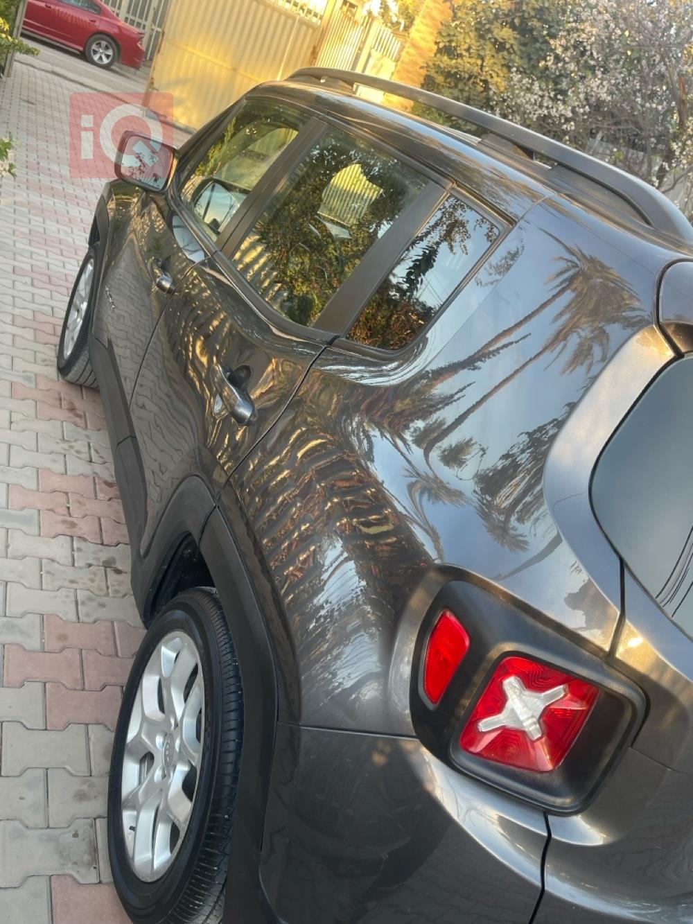 جيب رينيجيد